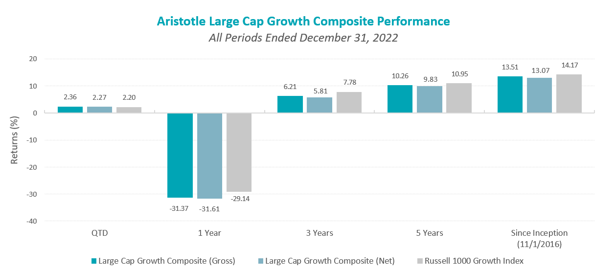 Large Cap Growth 4q 2022 